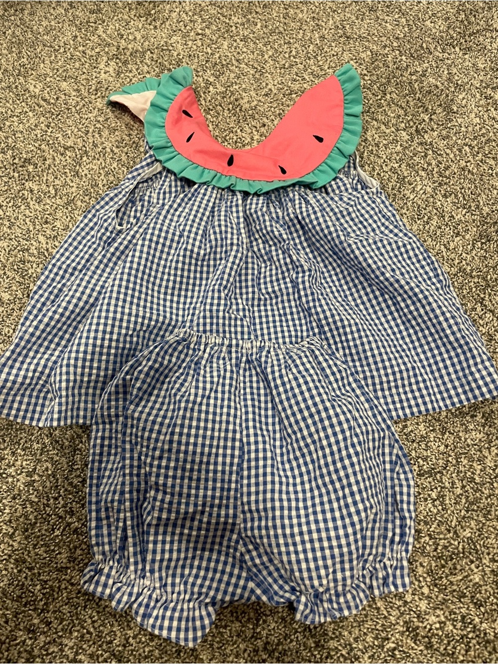 Vintage Watermelon Collar Blue Gingham Dress and Shorts Set